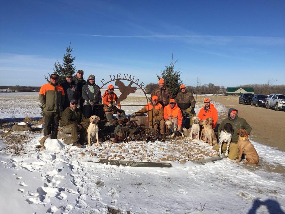 Hunters, dogs and pheasants 