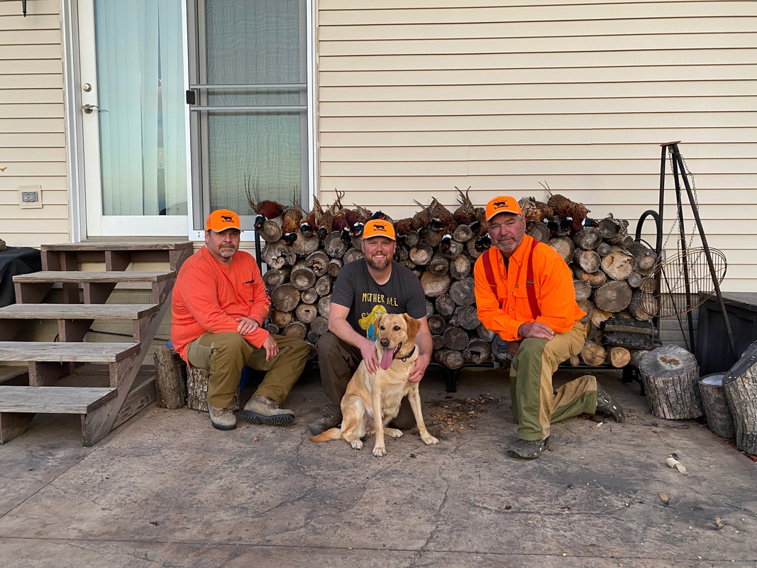 Three hunters with a yellow lab and pheasants on a wood pile